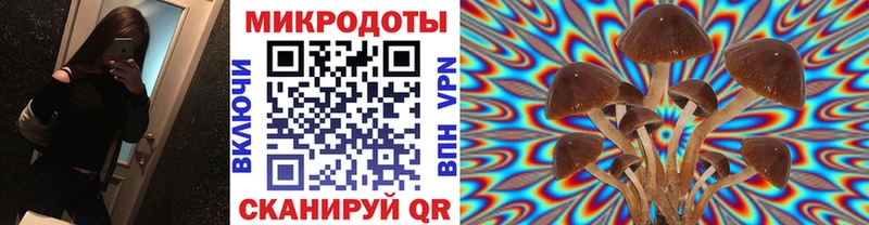 Псилоцибиновые грибы Psilocybine cubensis  это клад  Людиново 